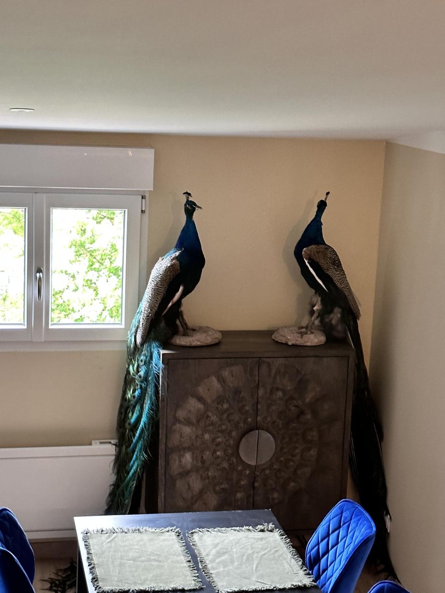 L'Opale - Le Jungle Apartment Les Attaques Ruang foto